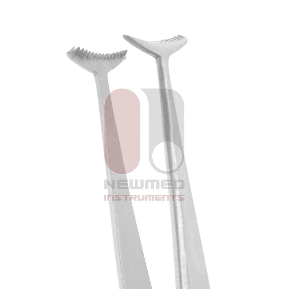 Converse Green Eye Fixation Forceps | New Med Instruments